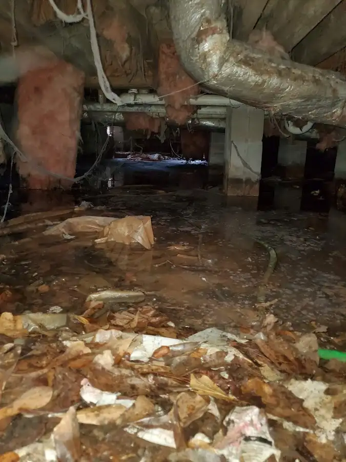 Crawl space flood assessment for Leak Detection & Repair in Carlyss